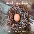 CDSoul Asylum / Hurry Up And Wait