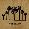 2LPPineapple Thief / Nothing But the Truth / Live / Vinyl / 2LP