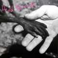 LPDead Kennedys / Plastic Surgery Disasters / Vinyl