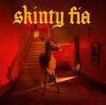 2LPFontaines D.C. / Skinty Fia / Deluxe / Vinyl / 2LP