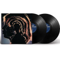 2LPRolling Stones / Hot Rocks 1964-1971 / Vinyl / 2LP