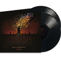 2LPGod Is An Astronaut / Embers / Vinyl / 2LP
