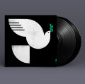 2LPPatitucci John / Spirit Fall / Vinyl / 2LP