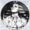 LPMartin Steve / King Tut / Picture / Vinyl
