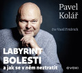 CD / Kol Pavel / Labyrint bolesti / Fridrich V. / MP3