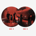 LP / Twenty One Pilots / Breach / Limited / Picture / Vinyl