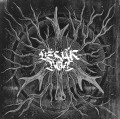 LPSicherhatesystem/Levk Bob / Split / Vinyl