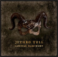 CDJethro Tull / Curious Ruminant / Digipack