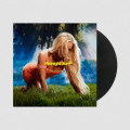 LPLarsson Zara / Midnight Sun / Deluxe / Vinyl