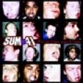 CDSum 41 / All Killer No Filler