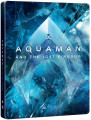 Blu-RayBlu-ray film /  Aquaman a ztracen krlovstv / Steelbook / Blu-Ray+DVD