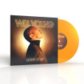 LPYoung Will / Light It Up / Vinyl